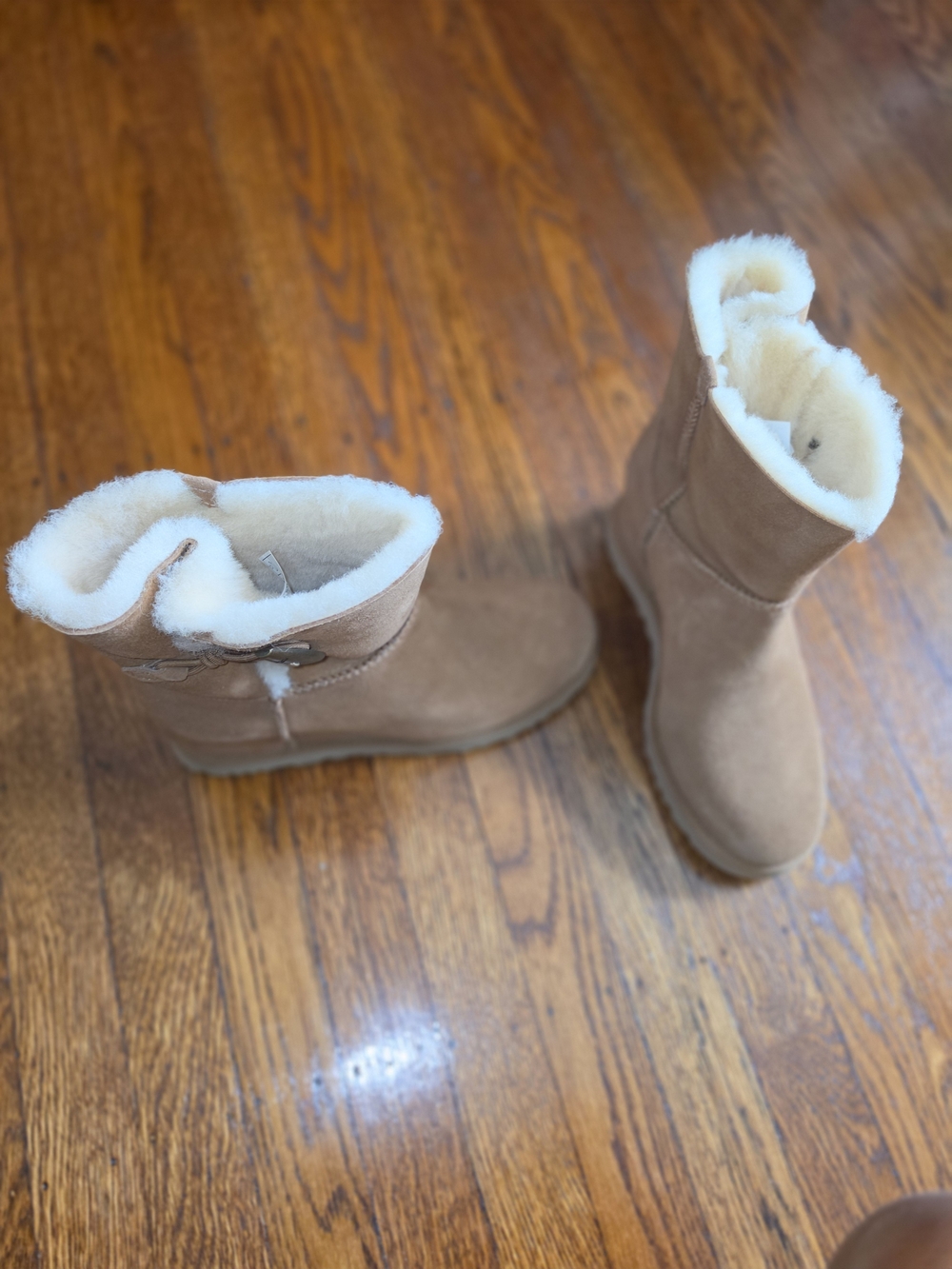 UGG Chestnut Suede Shearling-Lined Women's Winter Boots